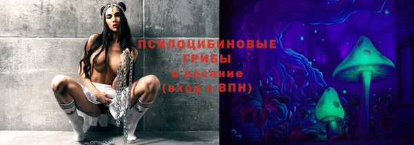 ГАЛЛЮЦИНОГЕННЫЕ ГРИБЫ Алексеевка