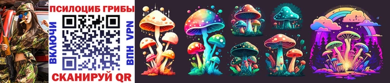 где купить   Лысьва  мега как зайти  Псилоцибиновые грибы Magic Shrooms 